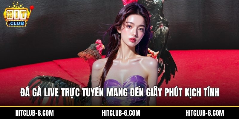 Đá Gà Live Trực Tuyến Mang Đến Giây Phút Kịch Tính