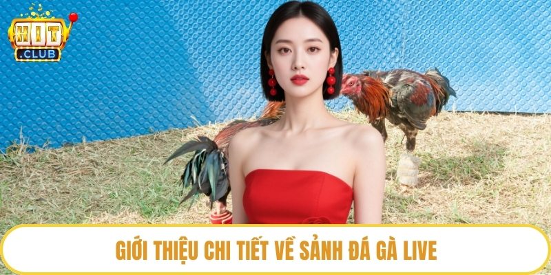 Giới thiệu chi tiết về sảnh đá gà live